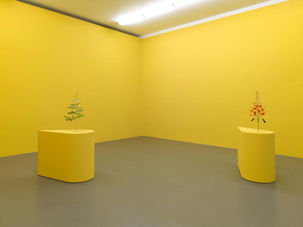 Kapwani Kiwanga, The Marias, 2020, paper flowers, courtesy the artist. Exhibition overview Kapwani Kiwanga, new work, 2020, at formerly known Witte de With Center for Contemporary Art. Photographer: Kristien Daem.